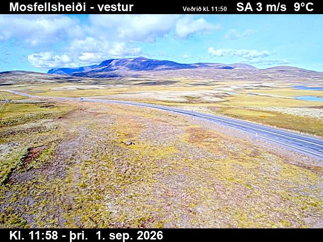 mosfellsheidi_1-1788271281.jpg