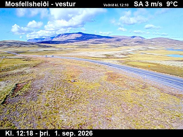 mosfellsheidi_1-1788272752.jpg