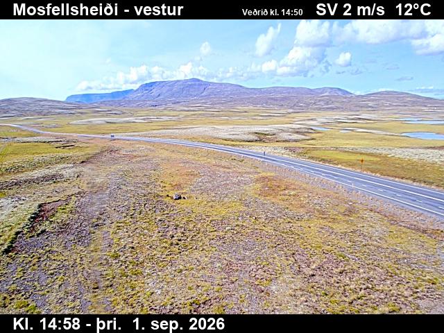 mosfellsheidi_1-1788282088.jpg
