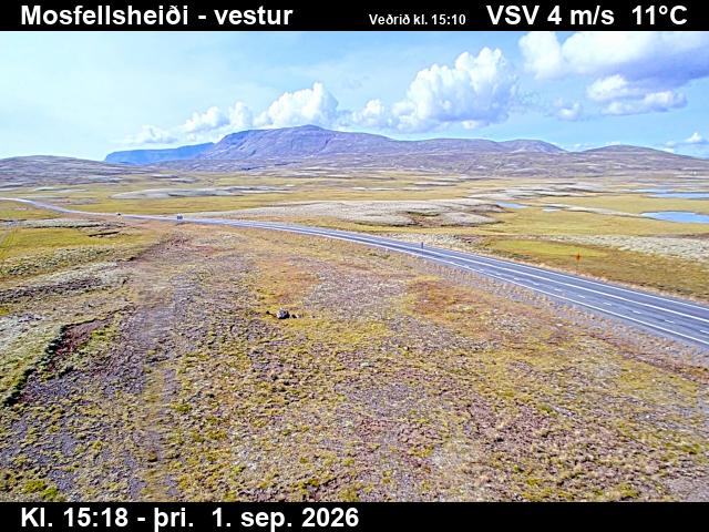 mosfellsheidi_1-1788283555.jpg