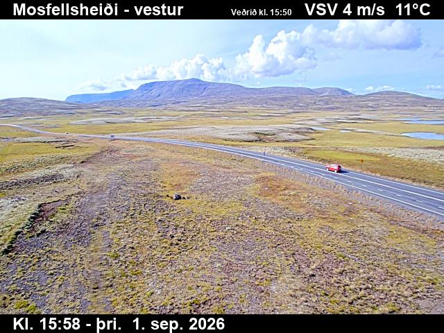 mosfellsheidi_1-1788285675.jpg