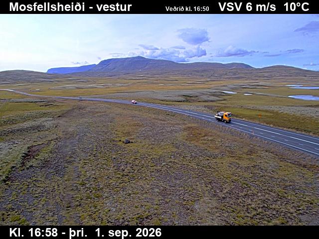 mosfellsheidi_1-1788289317.jpg