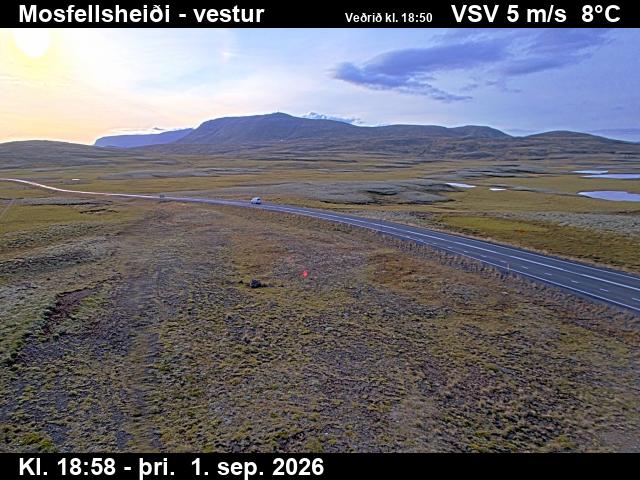 mosfellsheidi_1-1788296549.jpg