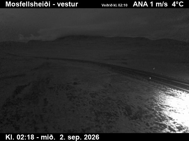mosfellsheidi_1-1788323139.jpg