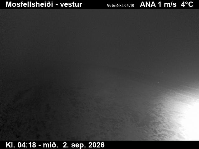 mosfellsheidi_1-1788330377.jpg