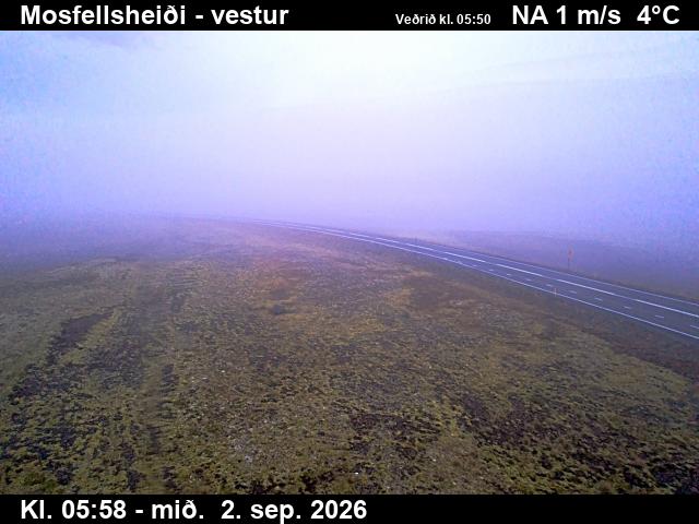 mosfellsheidi_1-1788336378.jpg