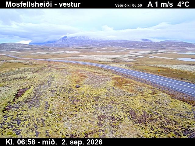 mosfellsheidi_1-1788339942.jpg