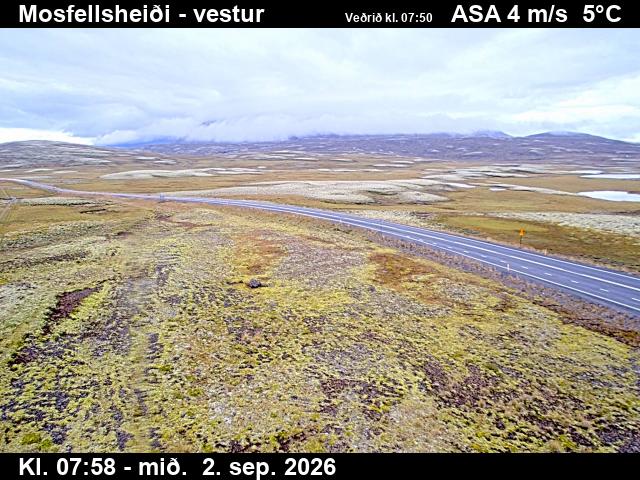 mosfellsheidi_1-1788343279.jpg