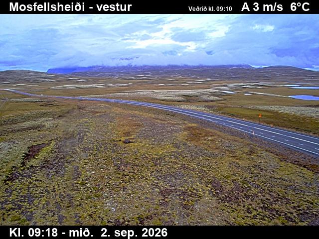 mosfellsheidi_1-1788348363.jpg