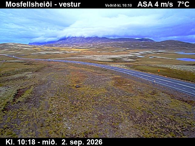 mosfellsheidi_1-1788351952.jpg