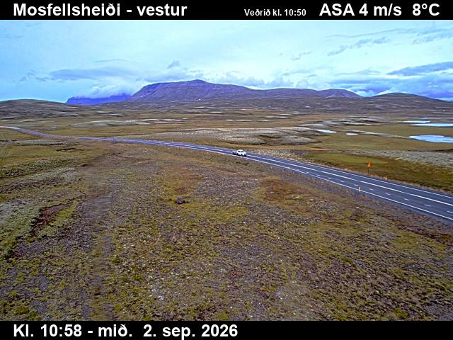 mosfellsheidi_1-1788354171.jpg