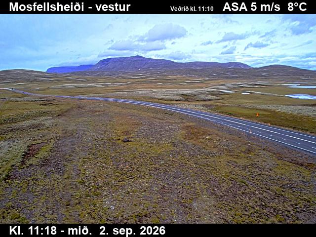 mosfellsheidi_1-1788355536.jpg