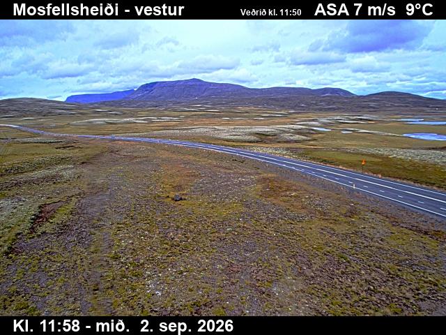 mosfellsheidi_1-1788357713.jpg