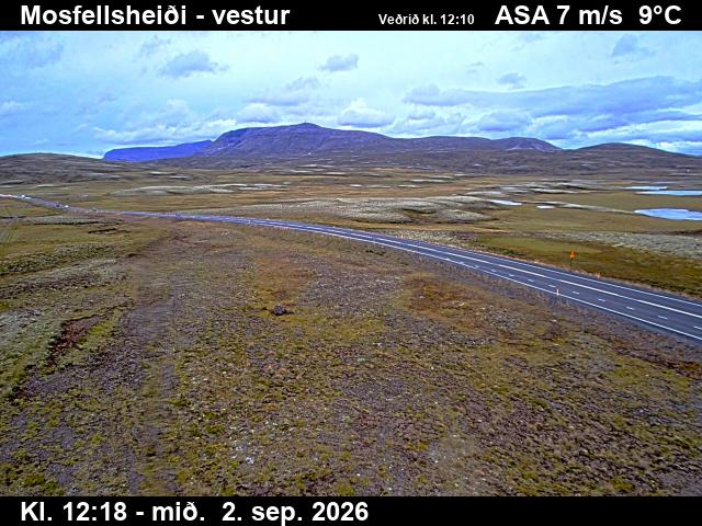 mosfellsheidi_1-1788359129.jpg