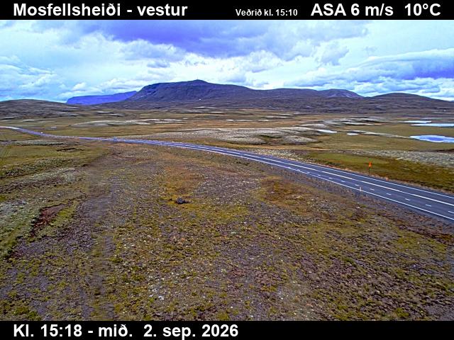 mosfellsheidi_1-1788369949.jpg