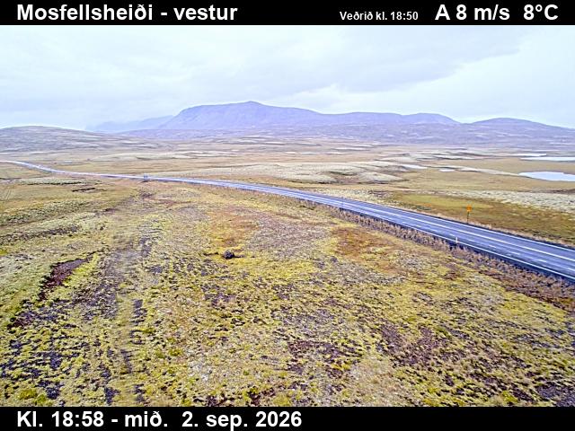 mosfellsheidi_1-1788382898.jpg