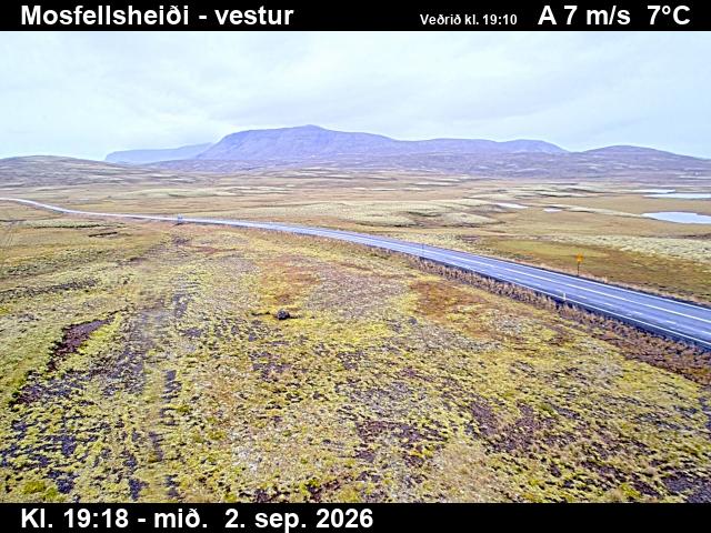 mosfellsheidi_1-1788384355.jpg