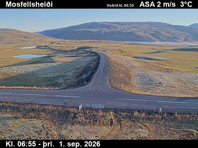 mosfellsheidi_2-1788253283.jpg