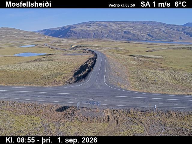 mosfellsheidi_2-1788260778.jpg