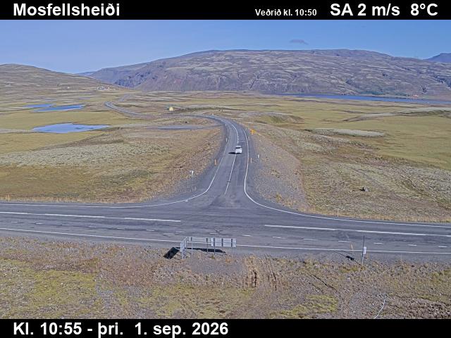 mosfellsheidi_2-1788267675.jpg