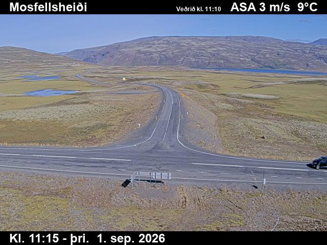mosfellsheidi_2-1788269153.jpg