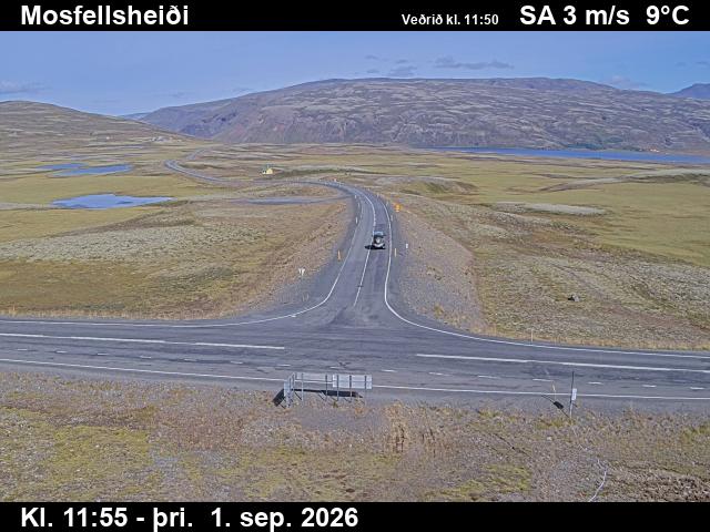mosfellsheidi_2-1788271253.jpg