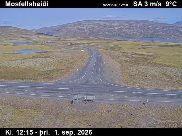 mosfellsheidi_2-1788272779.jpg