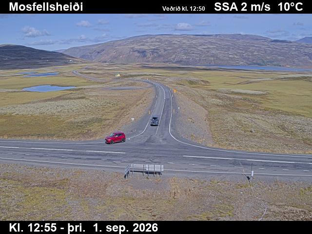 mosfellsheidi_2-1788275177.jpg