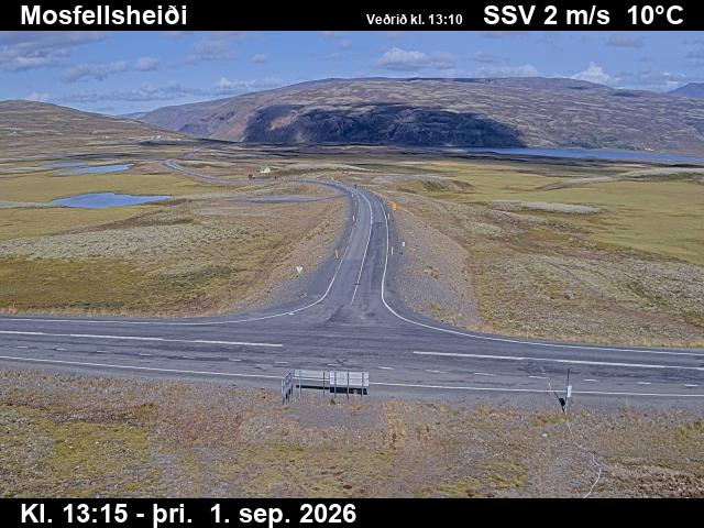 mosfellsheidi_2-1788276351.jpg