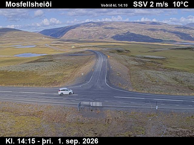 mosfellsheidi_2-1788279975.jpg