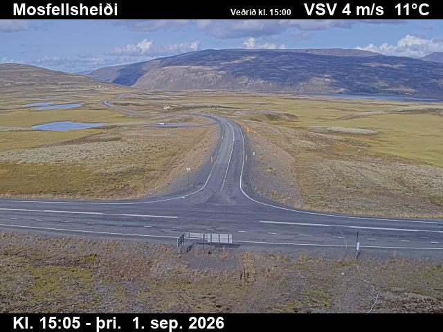 mosfellsheidi_2-1788282391.jpg