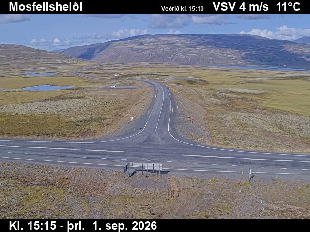 mosfellsheidi_2-1788283575.jpg