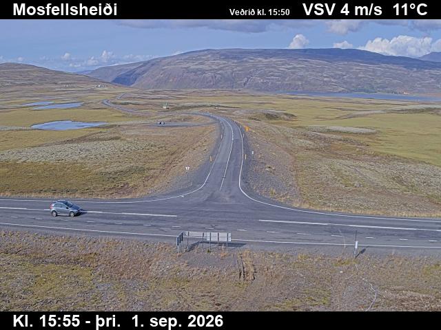 mosfellsheidi_2-1788285716.jpg