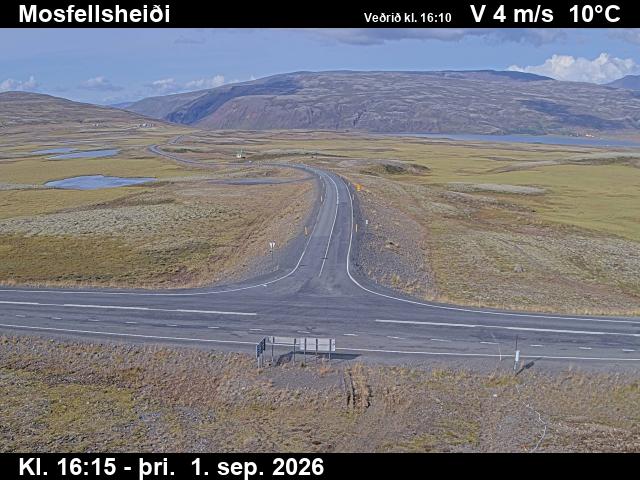 mosfellsheidi_2-1788287145.jpg
