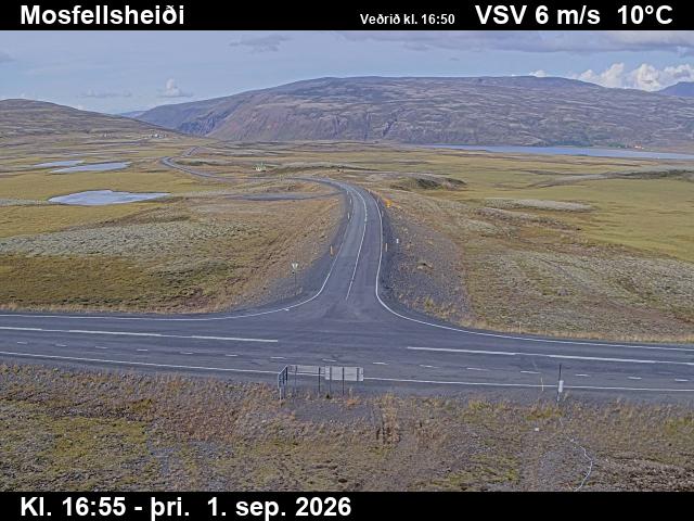 mosfellsheidi_2-1788289326.jpg