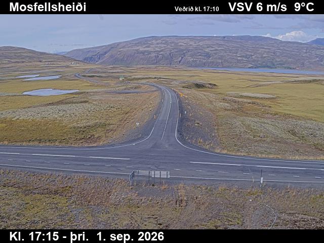 mosfellsheidi_2-1788290761.jpg