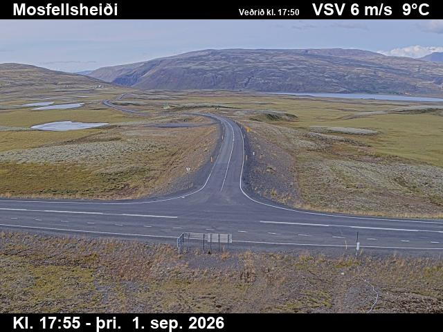mosfellsheidi_2-1788292895.jpg