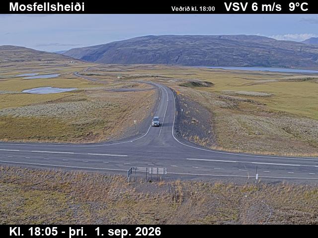 mosfellsheidi_2-1788293203.jpg