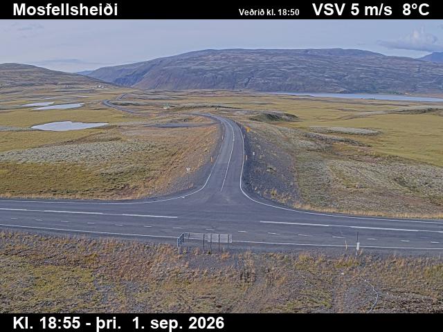 mosfellsheidi_2-1788296478.jpg