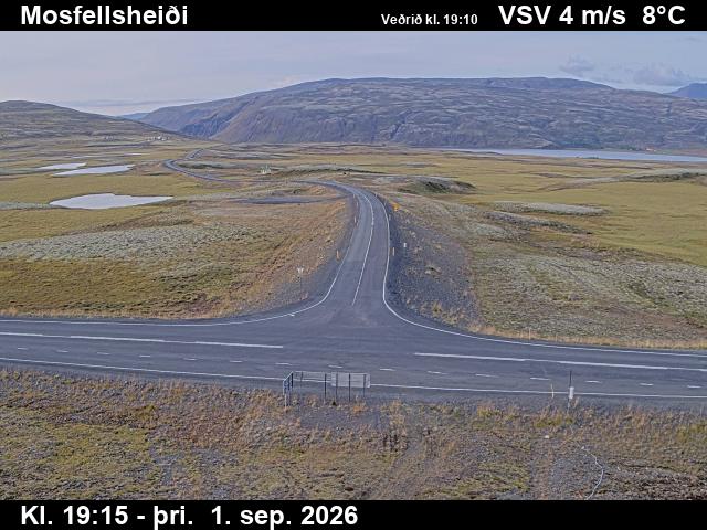 mosfellsheidi_2-1788297933.jpg