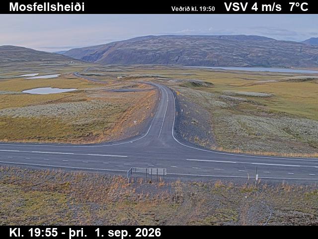 mosfellsheidi_2-1788300077.jpg