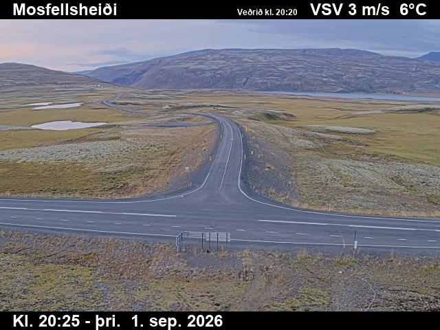 mosfellsheidi_2-1788301582.jpg