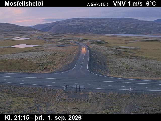 mosfellsheidi_2-1788305167.jpg