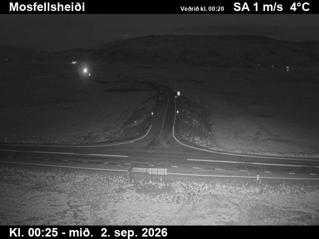 mosfellsheidi_2-1788316002.jpg