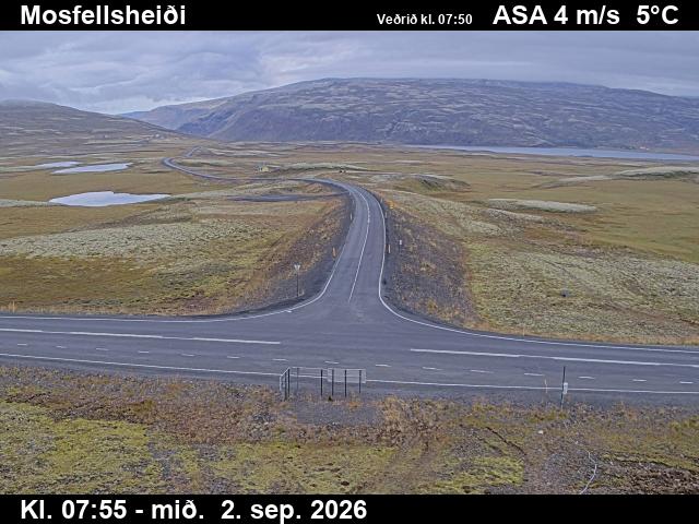 mosfellsheidi_2-1788343586.jpg