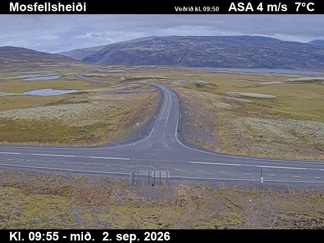 mosfellsheidi_2-1788350488.jpg