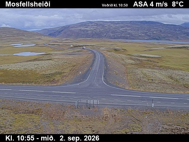 mosfellsheidi_2-1788354179.jpg