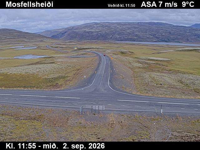 mosfellsheidi_2-1788357655.jpg