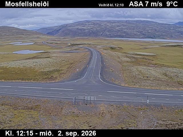 mosfellsheidi_2-1788359142.jpg
