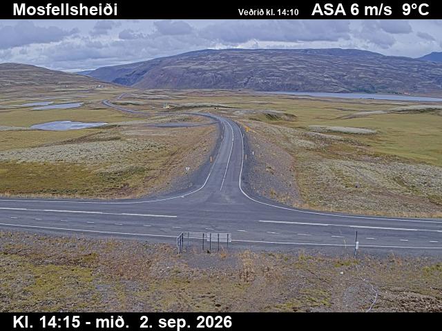 mosfellsheidi_2-1788366392.jpg